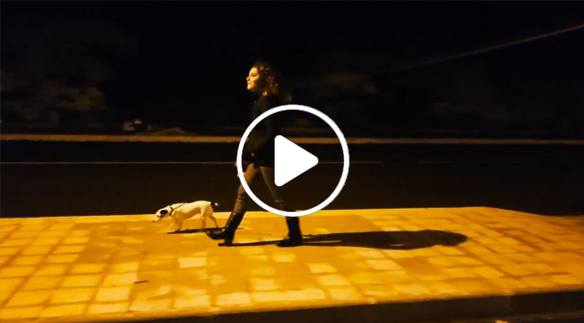 TIMIDAMENTE AMORE - Il FILM Cap 3 - 