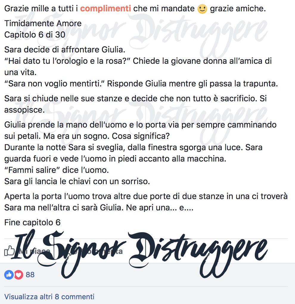 TIMIDAMENTE AMORE CAP 6 - Non tutto è sacrificio