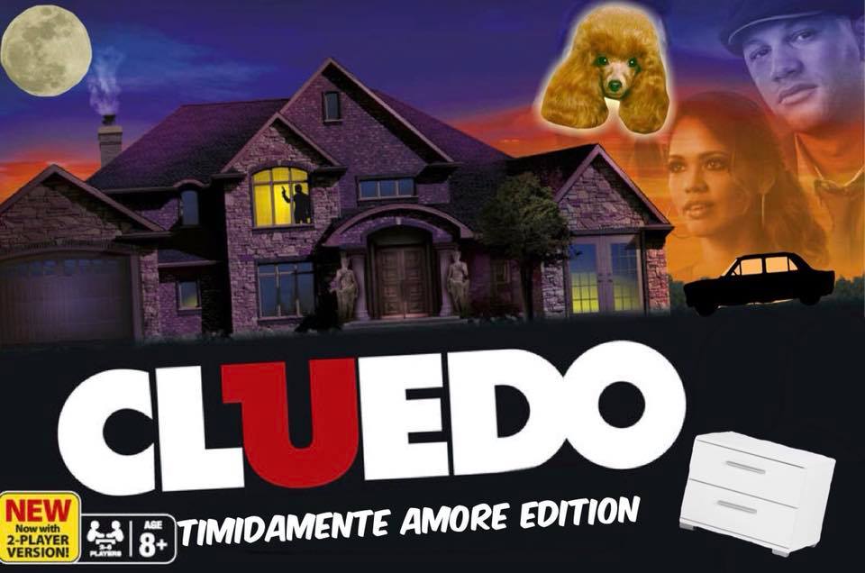 TIMIDAMENTE AMORE CAP 7 - La donna oscura