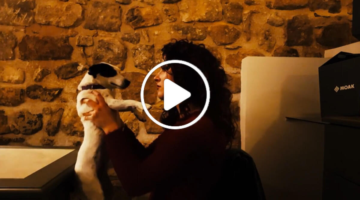Timidamente Amore IL FILM - Cap 12 - 
