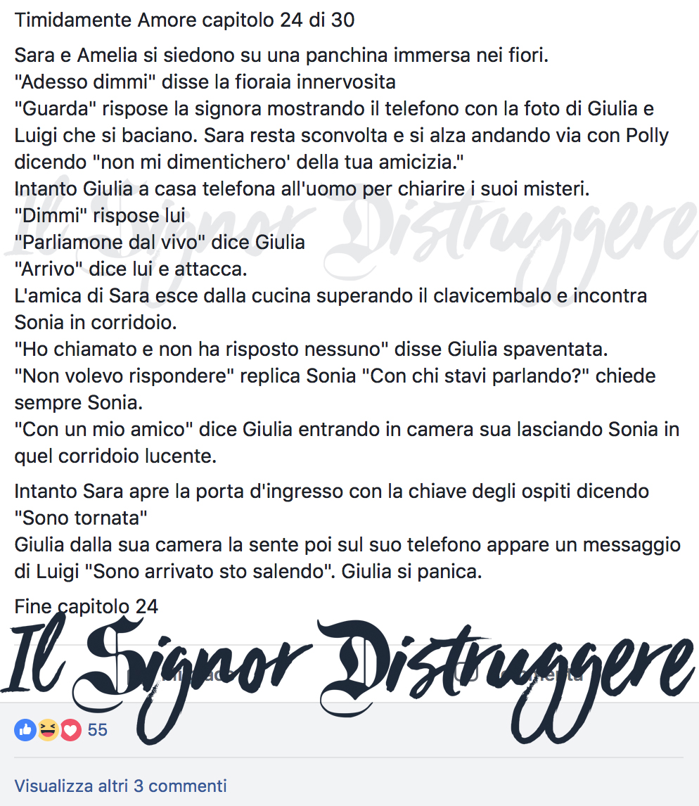 TIMIDAMENTE AMORE CAP 24 - Tutti a casa