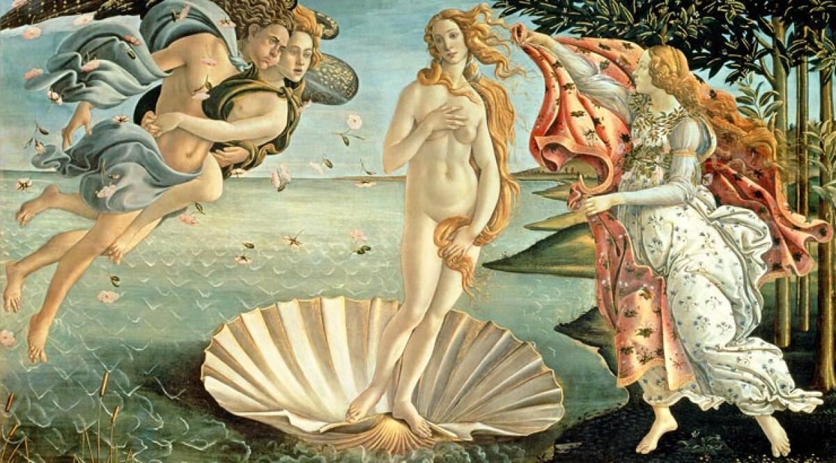 LA POSIZIONE DELLA CONCHIGLIA - 