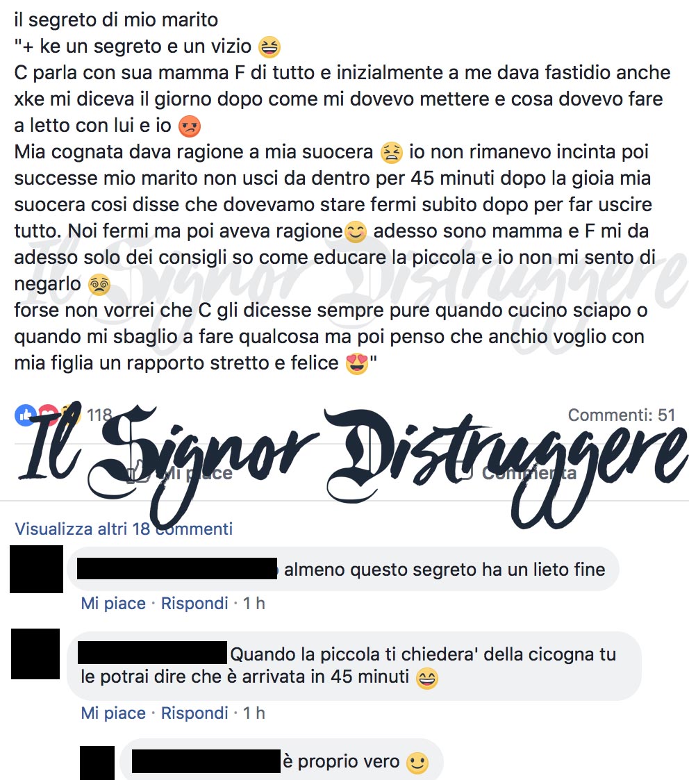 I Segreti dei nostri mariti - ep 5 "La suocera"