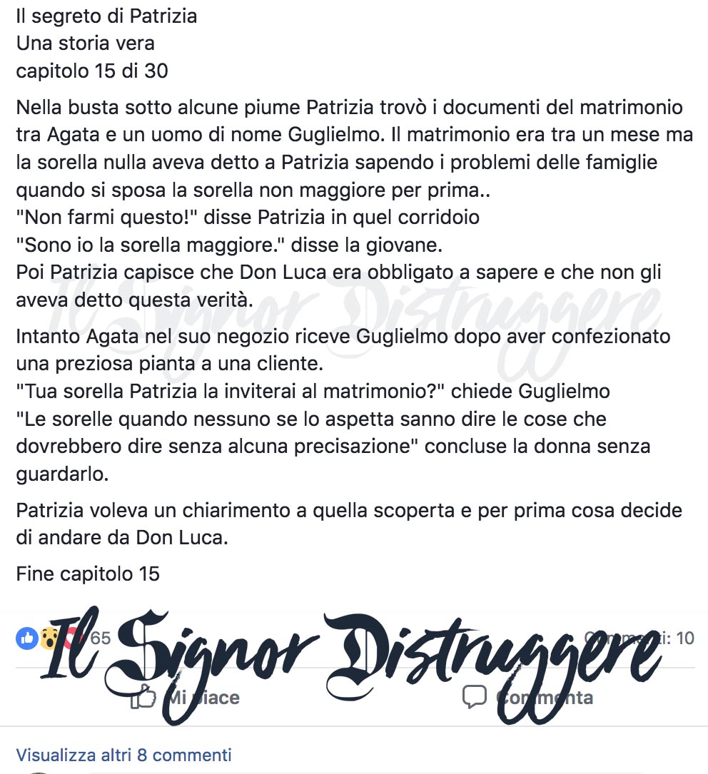 Il SEGRETO DI PATRIZIA CAP 15 - "L'affronto"