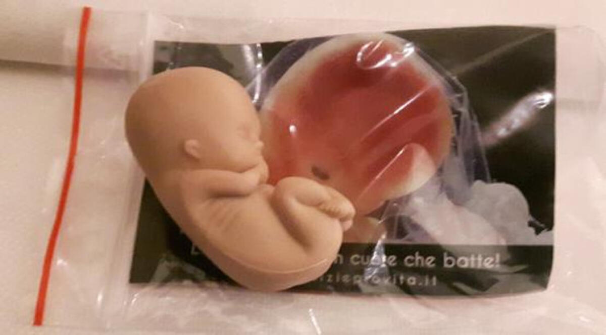 Congresso Famiglie, distribuito agli ospiti un feto in gomma - 