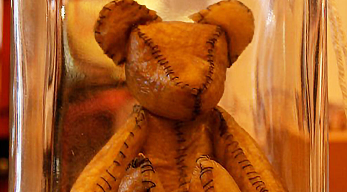 L'orsacchiotto di Placenta - 